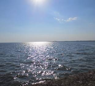Blick vom Deich ins Watt