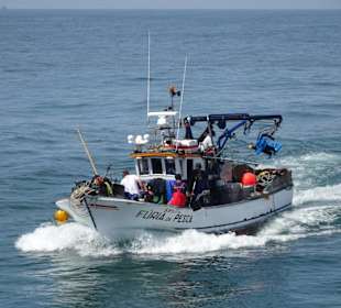 Fischerboote umrunden das Ende der Nordmole