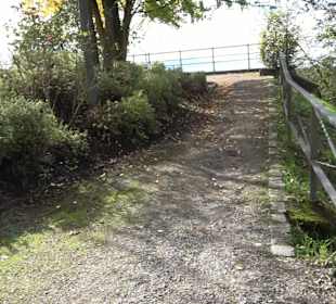 Schlossgarten Schloss Tettnang