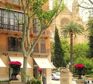 Palma