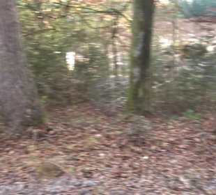 Steinbruch Bezenberg