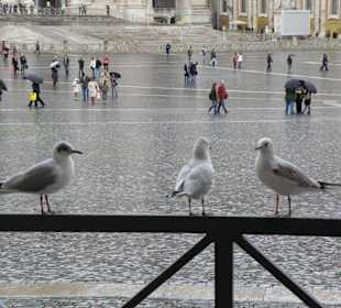 La piazza di San Pietro