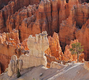 Bryce Canyon