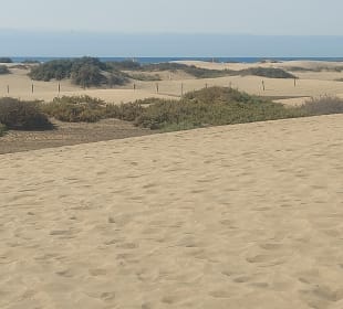 Dünen von Maspalomas