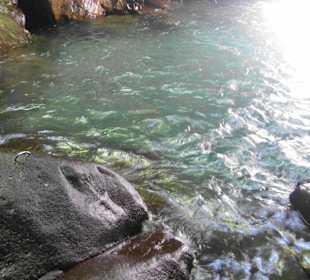 Bach vor Wasserfall