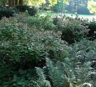 Alter Botanischer Garten