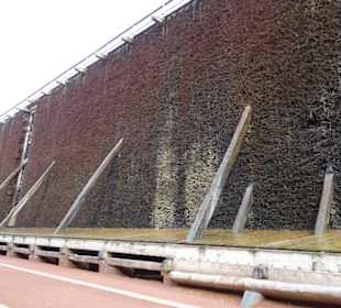 Kurpark Bad Westernkotten