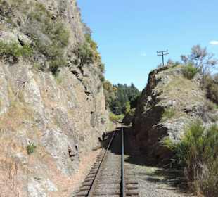 Mit der Taieri Railway durch die Natur Neuselands