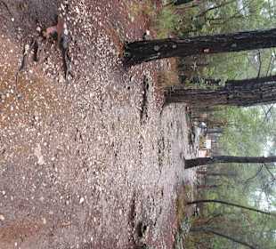 Fußweg vom Parkplatz zu den Plattformen