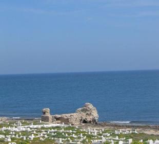Cemetery by the seaside