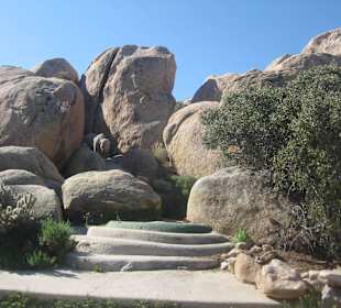 Desert View Tower