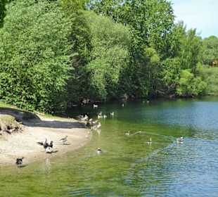 Impressionen vom Heidbergsee