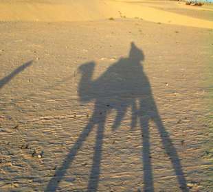 Lo ed il "piccolo dromedario" al tramonto