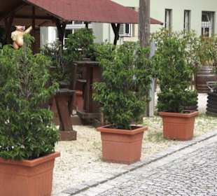 Restaurant Schlachthof