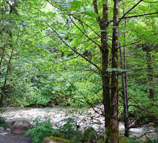 Shannon Falls Provincial Park