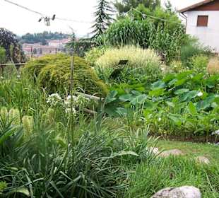 Idyllischer botanischer Garten