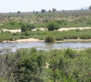 Landschaft im Kruger