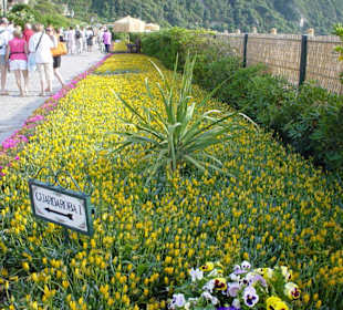 Giardini