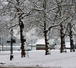 Serpentine in Winter