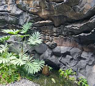 Stiftung Cesar Manrique