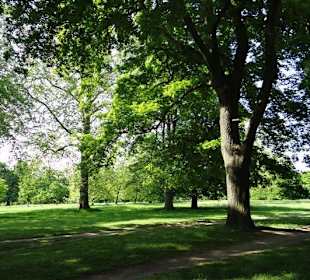 Hyde Park