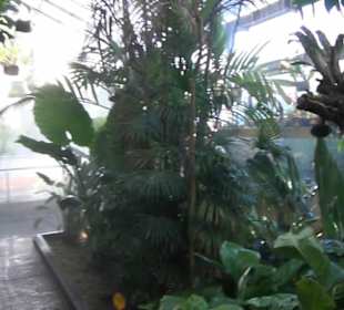 Real Jardín Botánico de Madrid