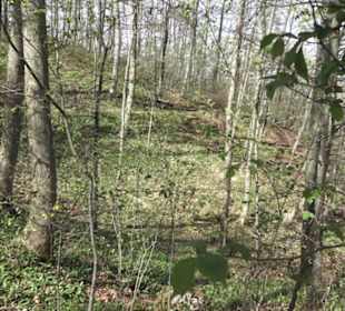 Wanderweg Hochgehkämpft