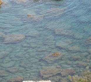 Plimmiri Beach