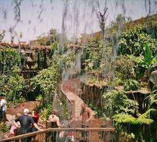 Blick aus dem Wasserfall