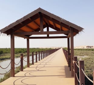 Al Thakira Mangroves