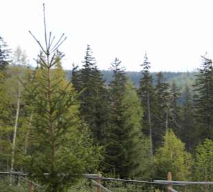 Berg Schneekoppe/Śnieżka