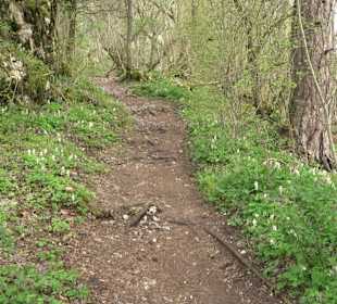 Wanderung rund um das Rusenschloss Gerhausen