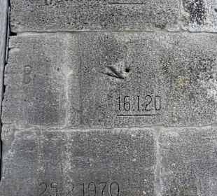 Mainpromenade Würzburg