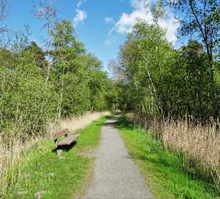 Eindrücke vom Rundweg um den Bederkesaer See 
