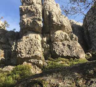 Naturschutzgebiet Großer Pfahl