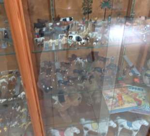 Toy Museum