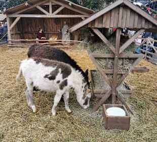 Ulmer Weihnachtsmarkt 2019