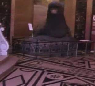 Naturhistorisches Museum 