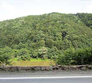 Valea Oltului / Olt-Tal 