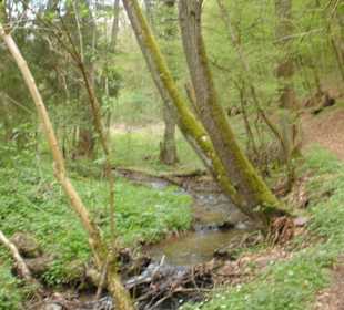 Weg am Flüsschen entlang im Tal