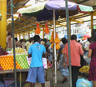 Grüner Markt 