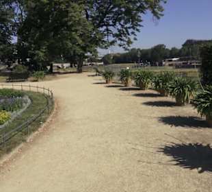 Altstadt - Rund um das Terrassenufer