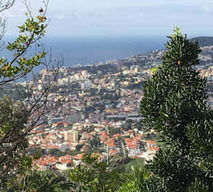 Ein Blick über die Stadt Funchal