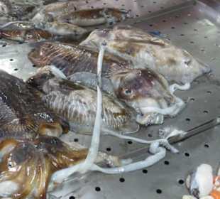 Marktbesuch in Loulé