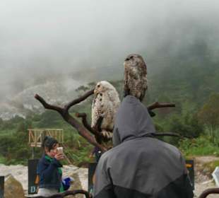 Dieng Plateau