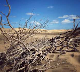 Inselrundfahrt Gran Canaria