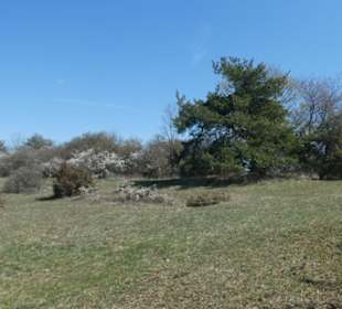 Unterwegs auf dem Wacholder-Wanderweg
