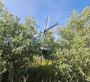 De Groenvelder in Schagen