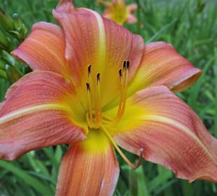 Impressione aus dem Parque de Santa Catarina