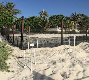 Stadtrundgang Akumal